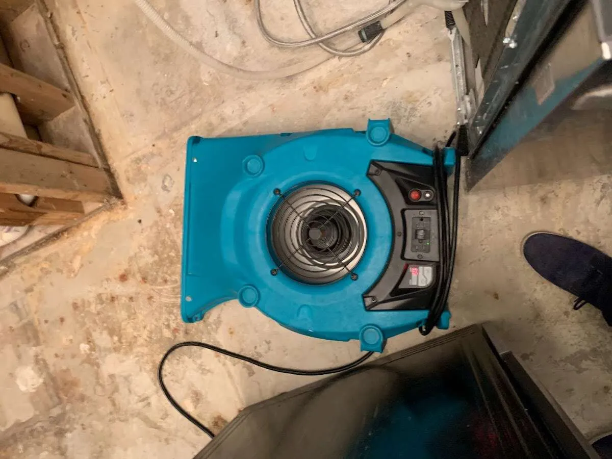 Air mover drying equipment for Mold Remediation & Removal in Bardstown