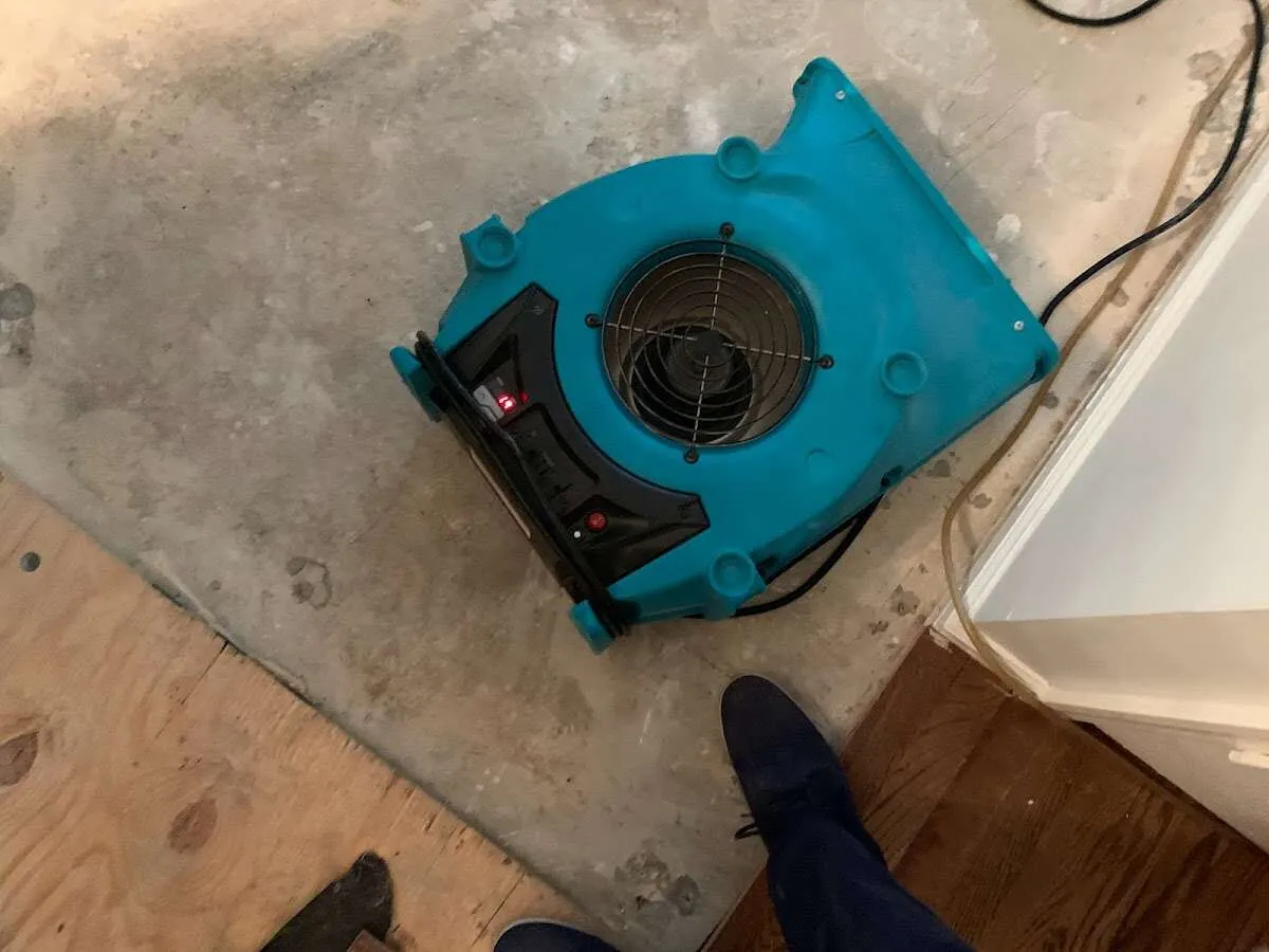 Air mover drying subfloor during Leak Detection & Repair in Bardstown